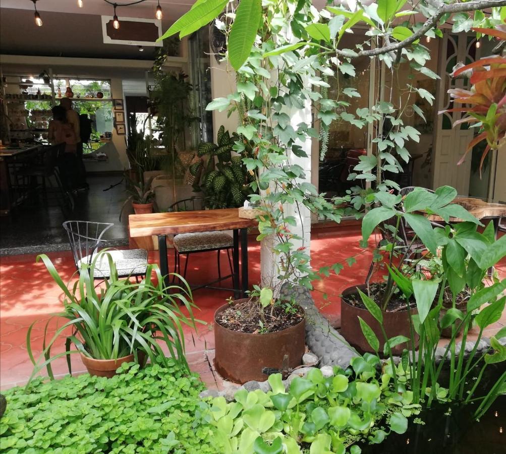 Cinco Hotel B&B Сан Салвадор Екстериор снимка