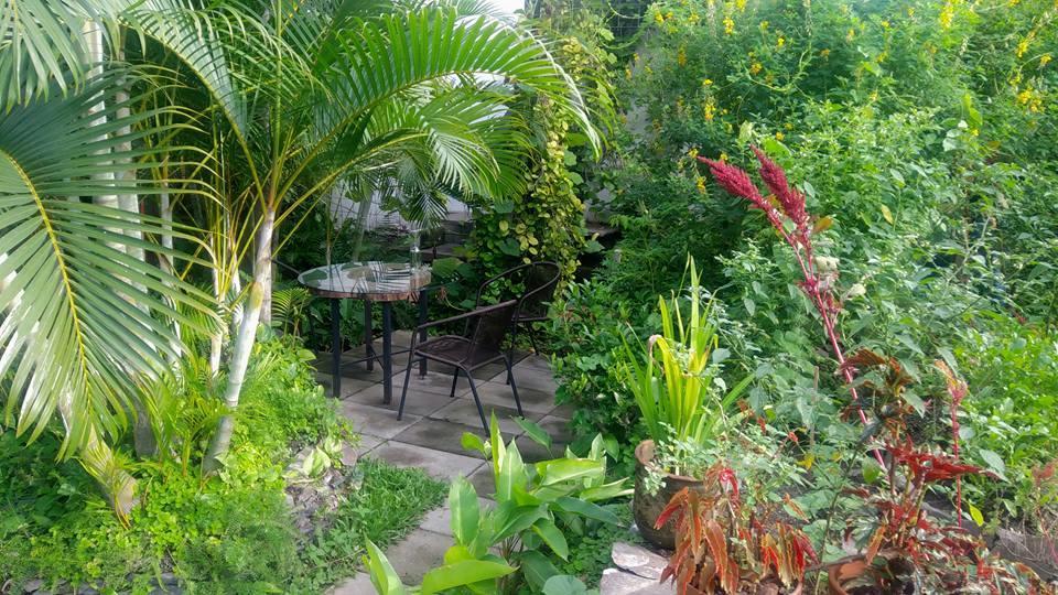 Cinco Hotel B&B Сан Салвадор Екстериор снимка