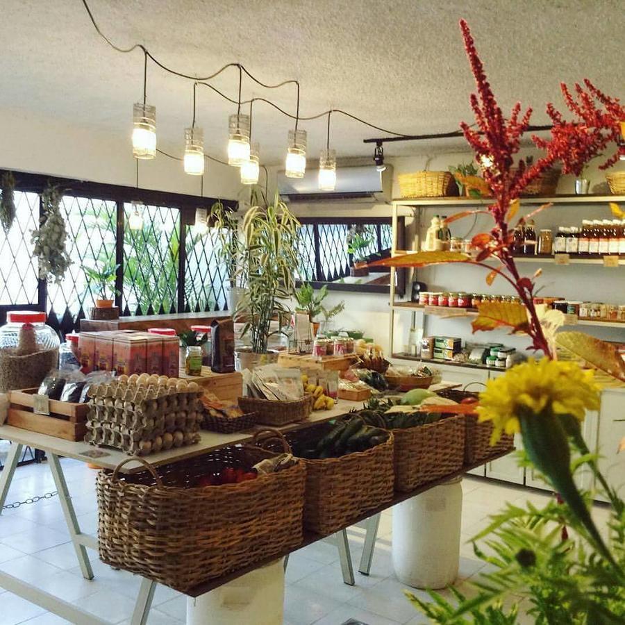 Cinco Hotel B&B Сан Салвадор Екстериор снимка